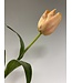 tulp | lroze | 66 centimeter | Per stuk te bestellen