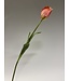 tulp | roze | 66 centimeter | Per stuk te bestellen