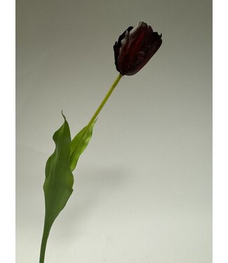 Silk Flowers by JJ parkiet tulp | paars | 60 centimeter | Per stuk