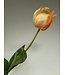 tulp | perzik | 66 centimeter | Per stuk te bestellen