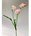 freesia| roze | 60 centimeter | Per stuk te bestellen