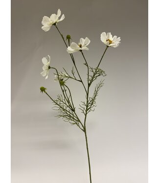 Silk Flowers by JJ cosmea | wit | 72 centimeter | Per stuk