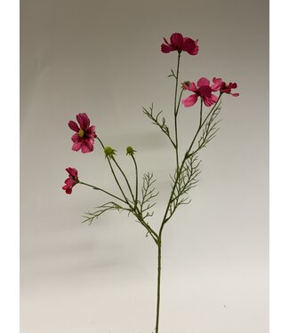 Silk Flowers by JJ cosmea | fuchsia | 72 centimeter | Per stuk