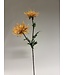 chrysant | oranje | 72 centimeter | Per stuk te bestellen