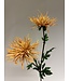 chrysant | oranje | 72 centimeter | Per stuk te bestellen