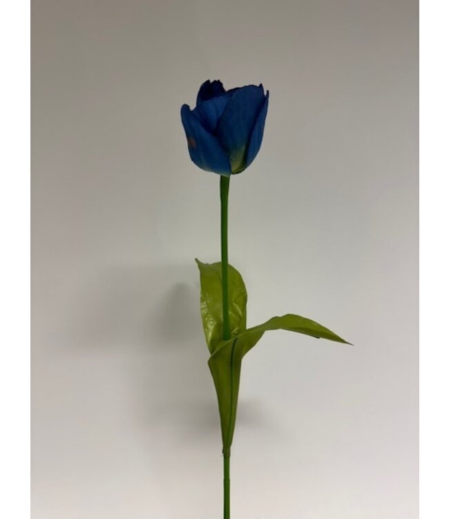 tulp | blauw | 53 centimeter | Per stuk te bestellen