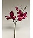 magnolia | fuchsia | 60 centimeter | Per stuk te bestellen