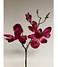 magnolia | fuchsia | 60 centimeter | Per stuk te bestellen