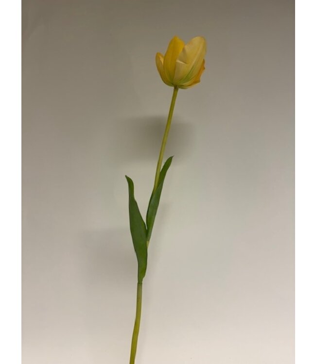 tulp | geel | 63 centimeter | Per stuk te bestellen