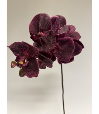 Silk Flowers by JJ orchidee | bordeaux | 77 centimeter | Per stuk