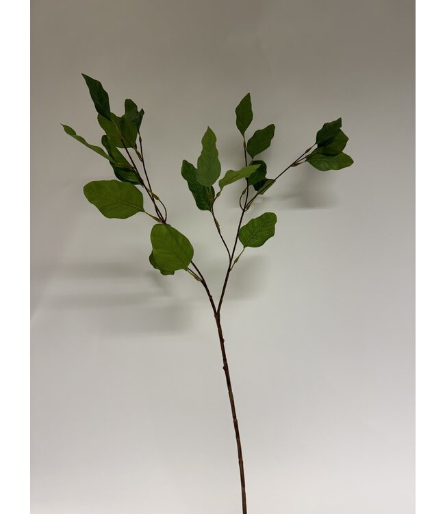 eucalyptus | groen | 84 centimeter | Per stuk te bestellen