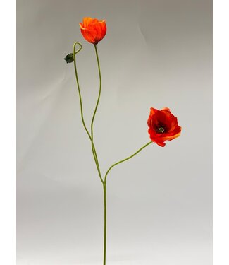 Silk Flowers by JJ klaproos x3 | rood | 74 centimeter | Per stuk