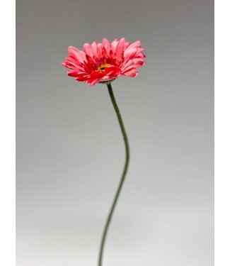 Silk Flowers by JJ gerbera | roze | 63 centimeter | Per stuk