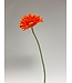 gerbera | oranje | 63 centimeter | Per stuk te bestellen