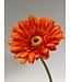 gerbera | oranje | 63 centimeter | Per stuk te bestellen