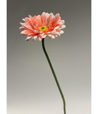 Silk Flowers by JJ gerbera | zalm | 63 centimeter | Per stuk