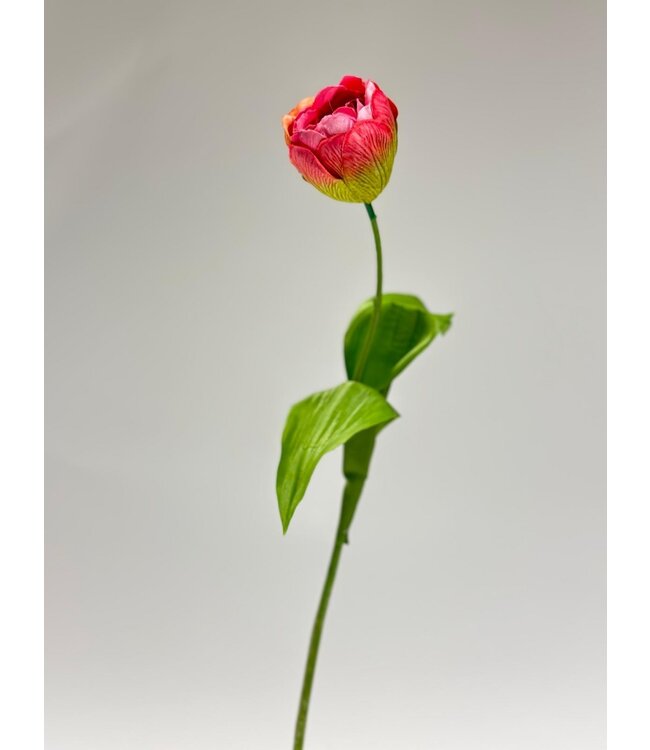 tulp | roze | 48 centimeter | Per stuk te bestellen