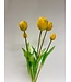 bos tulpen 5x | geel | 45 centimeter | Per stuk te bestellen