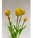 bos tulpen 5x | geel | 45 centimeter | Per stuk te bestellen