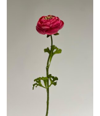 Silk Flowers by JJ ranonkel | roze | 48 centimeter | Per stuk