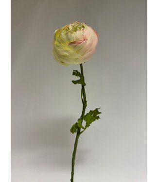 Silk Flowers by JJ ranonkel | creme wit | 48 centimeter | Per stuk