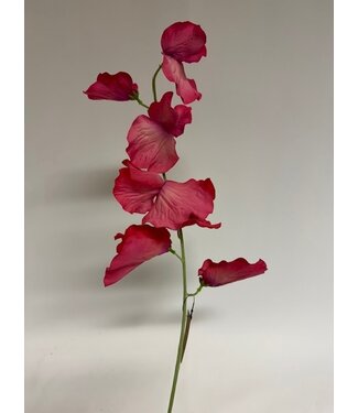 Silk Flowers by JJ lathyrus | roze | 50 centimeter | Per stuk