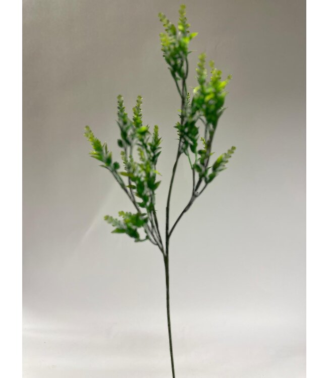 ligustrum | groen | 72 centimeter | Per stuk te bestellen