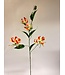 gloriosa | roze | 86 centimeter | Per stuk te bestellen