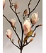 magnolia | licht roze | 107 centimeter | Per stuk te bestellen