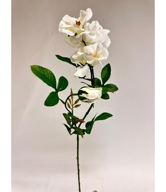 Silk Flowers by JJ roos | wit | 60 centimeter | Per stuk