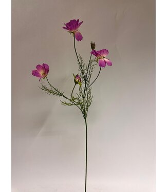 Silk Flowers by JJ cosmea | roze | 90 centimeter | Per stuk