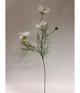 Silk Flowers by JJ cosmea | wit | 90 centimeter | Per stuk