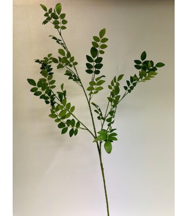 jasmijn blad | groen | 128 centimeter | Per stuk te bestellen