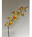 orchidee | orange | 78 centimeter | Per stuk te bestellen