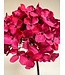 hortensia | hard roze | 50 centimeter | Per stuk te bestellen