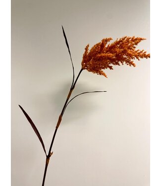 Silk Flowers by JJ pampas gras| oranje | 110 centimeter | Per stuk