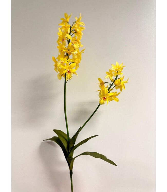 orchidee dendrobium | geel | 52 centimeter | Per stuk te bestellen