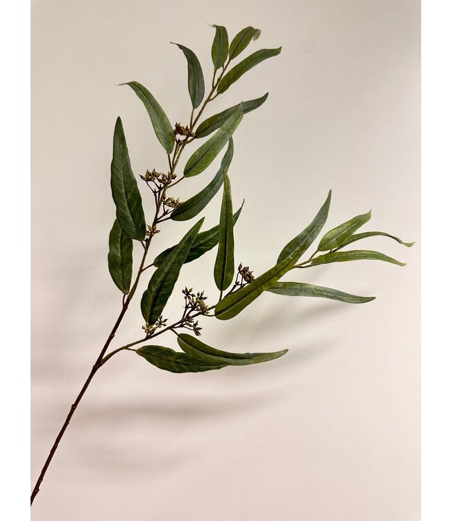 eucalyptus | groen | 91 centimeter | Per stuk te bestellen