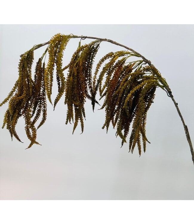 amaranthus hangend | bruin | 90 centimeter | Per stuk te bestellen