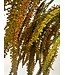 amaranthus hangend | bruin | 90 centimeter | Per stuk te bestellen