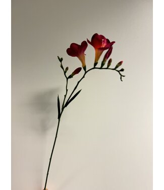 Silk Flowers by JJ freesia| fuchsia | 65 centimeter | Per stuk