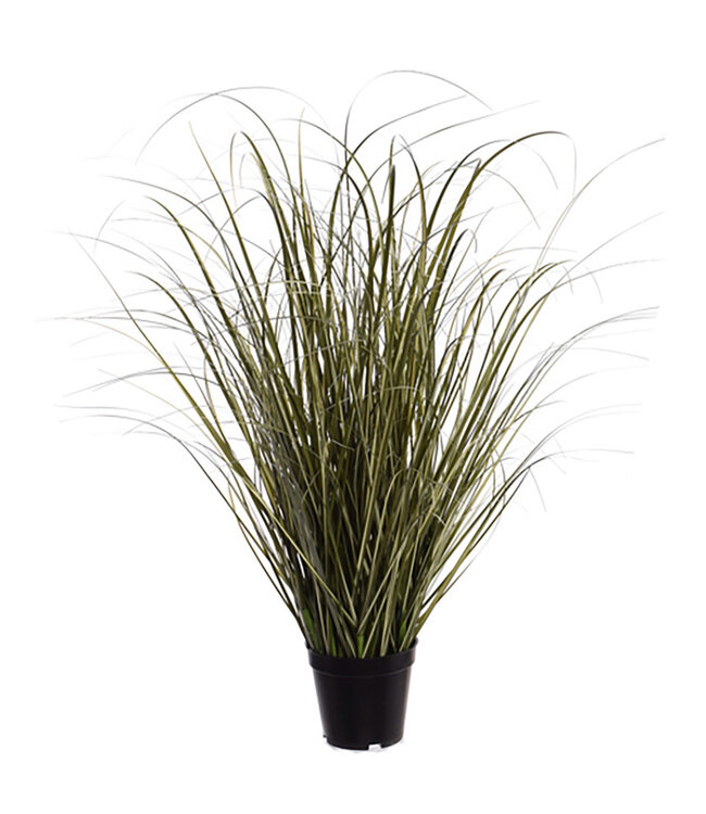 gras in pot | groen | 74 centimeter | Per stuk te bestellen