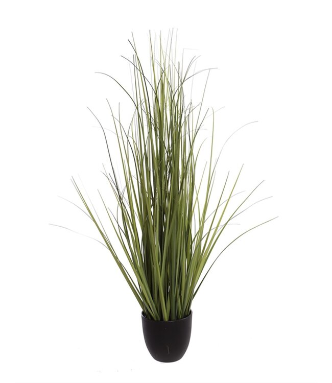 gras in pot  | groen |  88 centimeter | Per stuk te bestellen