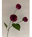 dahlia | fuchsia | 68 centimeter | Per stuk te bestellen