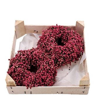 AD Krans Schinnus (pepperberry) ( x 9 )