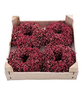 AD Krans Schinnus (pepperberry) ( x 36 )