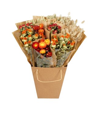 ME Droogbloemen-Dried Mono Mix 50cm-Orange ( x 12 )