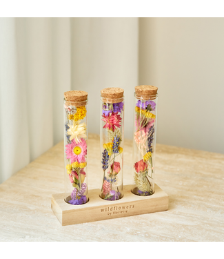 Wild Flowers Droogbloemen | Message in a Box | Maat L | Per stuk