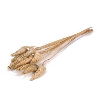 LDD Cane cone 10pc natural ( x 30 )