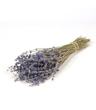 LDD Lavender 100gr natural blue ( x 40 )